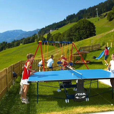 Alpenstern Osb02079 Dyc Tatil Evi Grossarl